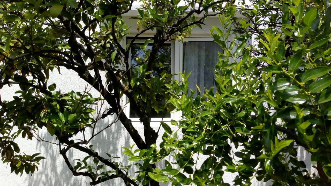 Apartamento Tea Kotor Exterior foto