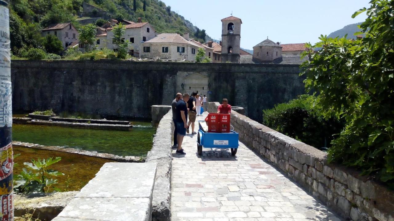Apartamento Tea Kotor Exterior foto